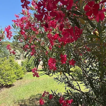 Prázdninový dům Sardinia Dream Torpè