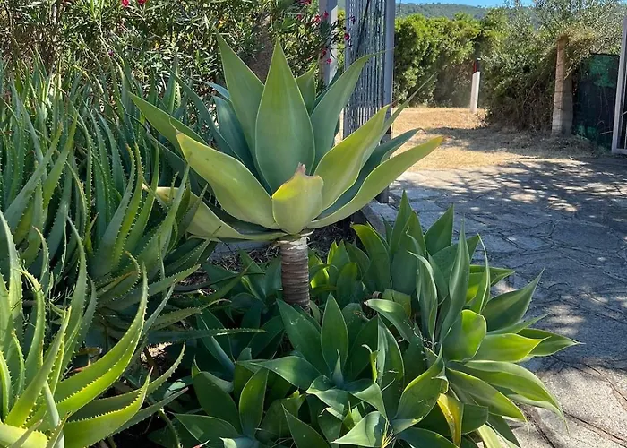 Sardinia Dream Holiday home Torpe