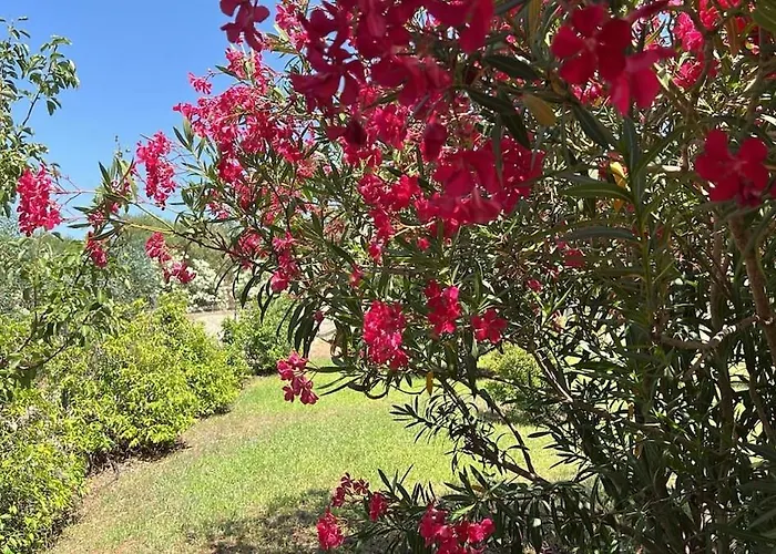 Holiday home Sardinia Dream Torpe